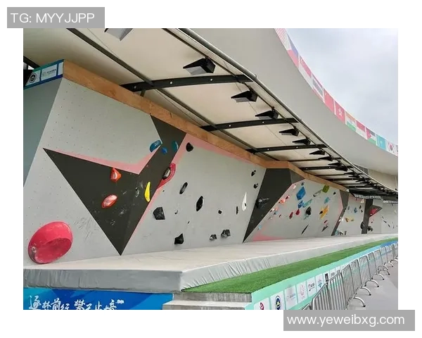 南京攀岩队在极限运动嘉年华中的战术表现分析与点评 南京攀岩队在极限运动嘉年华中的战术表现分析与点评