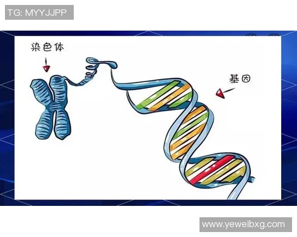 深圳羽毛球队技术解析:从基础训练到比赛策略的全面探讨 深圳羽毛球队技术解析:从基础训练到比赛策略的全面探讨
