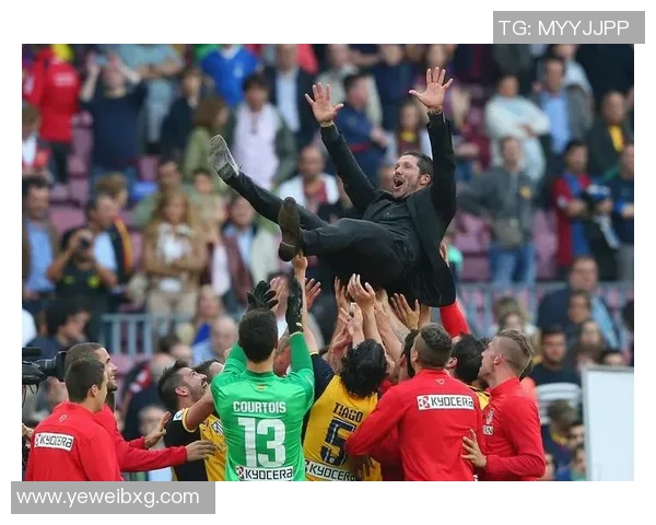 深圳足球队逆袭世界杯预选赛的传奇之路与奋斗精神