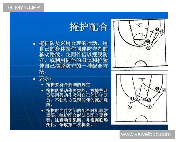 西安排球队防反战术分析与成效评估探讨