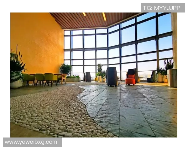 赛后分析：杭州羽毛球队与深圳羽毛球队的战术意识与表现对比