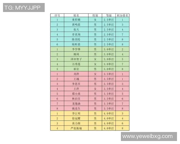 上海网球队荣登网球配合排行榜第十名展现强劲实力与团队默契