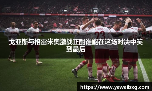 mk体育
