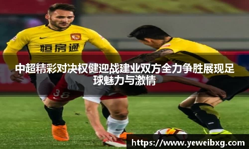 mk体育官网