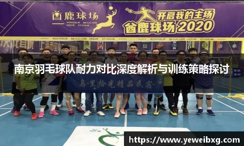 南京羽毛球队耐力对比深度解析与训练策略探讨